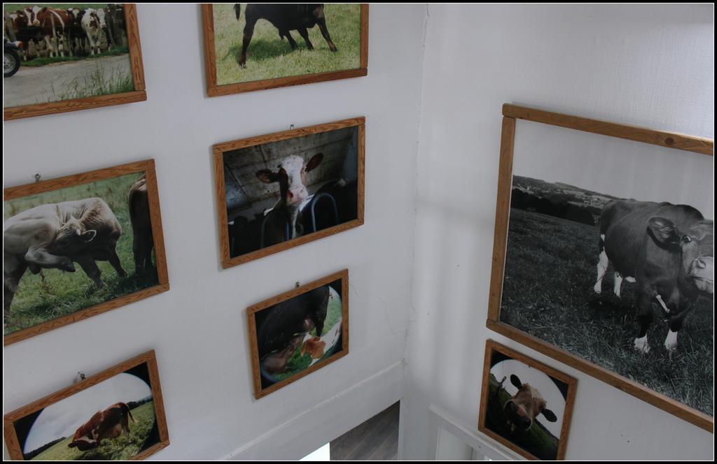 Hotel Artfarm Wiehl Ngoại thất bức ảnh